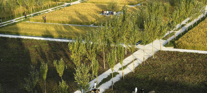 AR Awards for Emerging Architecture 2007 | TURENSCAPE