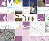 Maxmix Cities - Celebration of Cities 3