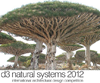d3 Natural System 2012