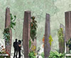 Gondwana Circle Design Competition