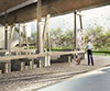 The Graduate Architecture Award 2011