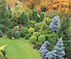 GRAND-PRIX COMPETITION “ LANDSCAPE ARCHITECTURE. LOOK FROM HOME”