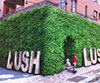 LUSH Shop Design Competition