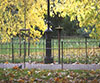 Royal Parks Foundation Drinking Fountain Competition