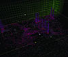 4th Advanced Architecture Contest