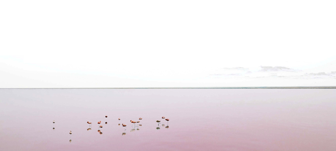 2G Competition: Venice Lagoon Park | Thomas Raynaud and Cyrille Berger